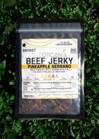 Ace Organix wholesale brisket beef jerky box 12 count
